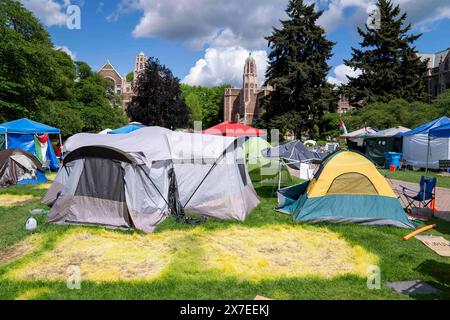 Seattle, Stati Uniti. 19 maggio 2024, Seattle, Washington, Stati Uniti d'America: Macchie di erba morta sono lasciate dove le tende sono state abbattute nella cosiddetta "Popular University for Gaza Liberated zone" accampamento di protesta pro-Palestina nel Quad del campus dell'Università di Washington a Seattle, Washington, USA, domenica 19 maggio, 2024. venerdì è stato annunciato che i manifestanti avevano raggiunto un accordo con l'università per porre fine all'accampamento dopo quasi un mese di protesta. Al suo apice, l'accampamento aveva più di 130 tende. Crediti: ZUMA Press, Inc./Alamy Live News Foto Stock