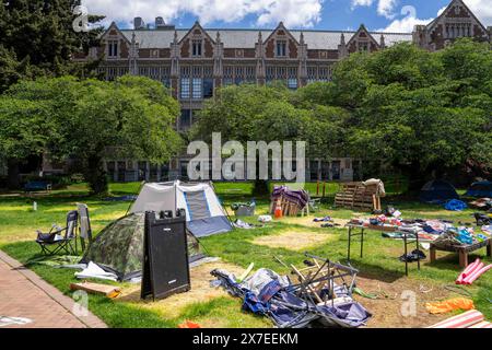 Seattle, Stati Uniti. 19 maggio 2024, Seattle, Washington, Stati Uniti d'America: Macchie di erba morta sono lasciate dove le tende sono state abbattute nella cosiddetta "Popular University for Gaza Liberated zone" accampamento di protesta pro-Palestina nel Quad del campus dell'Università di Washington a Seattle, Washington, USA, domenica 19 maggio, 2024. venerdì è stato annunciato che i manifestanti avevano raggiunto un accordo con l'università per porre fine all'accampamento dopo quasi un mese di protesta. Al suo apice, l'accampamento aveva più di 130 tende. Crediti: ZUMA Press, Inc./Alamy Live News Foto Stock