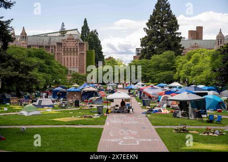 Seattle, Stati Uniti. 19 maggio 2024, Seattle, Washington, Stati Uniti d'America: Macchie di erba morta sono lasciate dove le tende sono state abbattute nella cosiddetta "Popular University for Gaza Liberated zone" accampamento di protesta pro-Palestina nel Quad del campus dell'Università di Washington a Seattle, Washington, USA, domenica 19 maggio, 2024. venerdì è stato annunciato che i manifestanti avevano raggiunto un accordo con l'università per porre fine all'accampamento dopo quasi un mese di protesta. Al suo apice, l'accampamento aveva più di 130 tende. Crediti: ZUMA Press, Inc./Alamy Live News Foto Stock