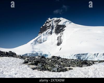 Pinguini Chinstrap sotto Buache Peak, Palaver Point, due isole Hummock, Antartide Foto Stock