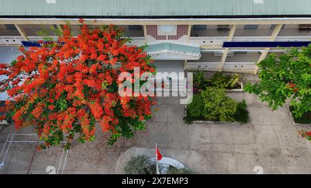 Incredibile paesaggio del villaggio del Delta del Mekong, campus scolastico con fiori rossi di fenice che fioriscono vibrante, liceo tra la foresta di cocco, sfavillante è Foto Stock