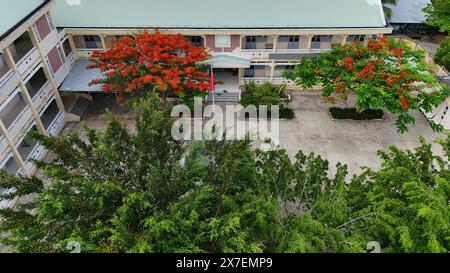 Incredibile paesaggio del villaggio del Delta del Mekong, campus scolastico con fiori rossi di fenice che fioriscono vibrante, liceo tra la foresta di cocco, sfavillante è Foto Stock