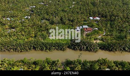Incredibile vista aerea dal drone della campagna del Delta del Mekong, un vasto campo di noci di cocco lungo il canale, palme verdi e piante di nipa con il fiume rendono naturale il ju Foto Stock
