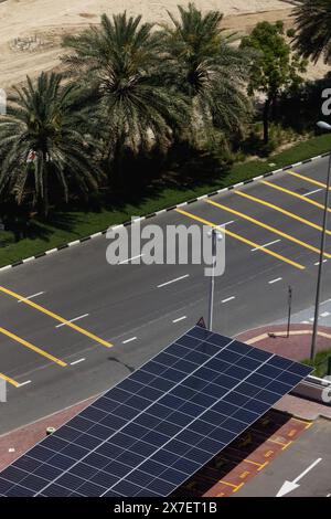 Pannelli solari. Creare energia verde con l'aiuto dei pannelli solari a Dubai. Foto Stock