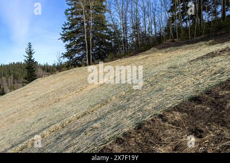 Controllo dell'erosione in pendenza con coperta a rete singola installata a terra per proteggere da erbacce e acqua Foto Stock