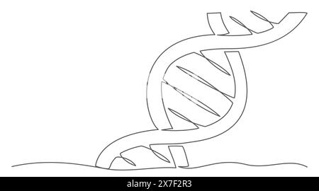 Disegno di una linea del DNA su sfondo bianco Illustrazione Vettoriale