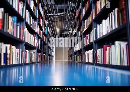 Moderna biblioteca universitaria con file di libri e scaffali. Foto Stock