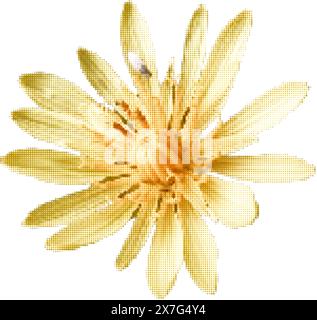 Fiori color giallo punteggiato per un collage retrò alla moda y2k. Fiore testurizzato vettoriale Illustrazione Vettoriale