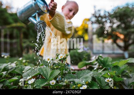 Ragazza che annaffia fragole in un letto rialzato e tiene una lattina di metallo. Cura del giardino e piantare fiori primaverili. Foto Stock