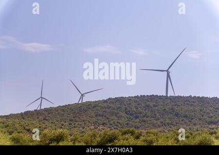 Colline piantate con ulivi sullo sfondo di turbine eoliche sulla montagna in una giornata di sole. Foto Stock