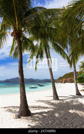 Malcapuya Island, Coron, Palawan, Phillipines Foto Stock