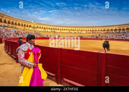 Un assistente osserva l'inizio di una corrida da a bordo campo a Real Maestranza, Siviglia. Foto Stock