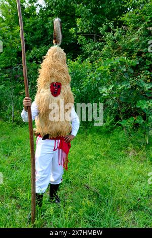 Sidro di Valdesoto (siero, Asturie) in un incontro vicino a Vilaboa, Pontevedra, Spagna Foto Stock