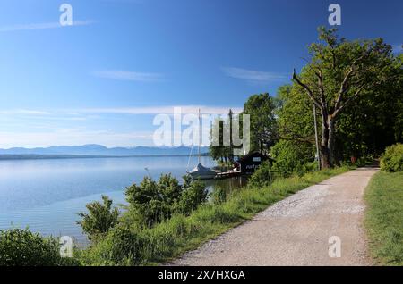 Tutzing, Bayern, Deutschland 20. Mai 2024: Ein Frühsommertag in Tutzing Landkreis Starnberg. Hier der Blick von einem Wanderweg in der Höhe vom Nordbad auf den Starnberger SEE und die Alpenkette im Hintergrund, wandern, spazieren, Tourismus, Ausblick *** Tutzing, Baviera, Germania 20 maggio 2024 un primo giorno d'estate nel quartiere Tutzing Starnberg qui la vista da un sentiero escursionistico vicino al Nordbad al lago Starnberg e alle Alpi sullo sfondo, escursioni, passeggiate, turismo, vista Foto Stock