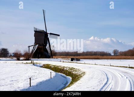 Il mulino a vento Noordeveldse Molen Foto Stock