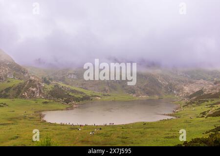 Lagos de Covadonga, Asturie, Spagna Foto Stock