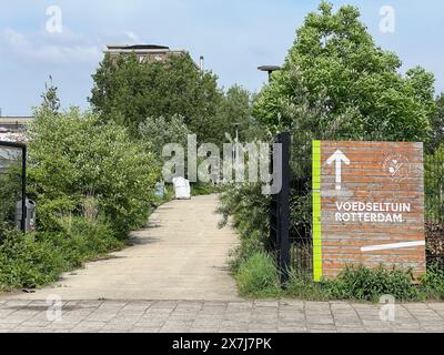 Keilewerft Gründerzentrum Keilewerft mit Gemeinschaftsgarten a Rotterdam / Start up hub Keilewerft con giardino comunitario a Rotterdam, https://www.keilewerf.nl/over-de-werf/ 16.5.2024 *** incubatore di imprese Keilewerft Keilewerft con giardino comunitario a Rotterdam Start up hub Keilewerft con giardino comunitario a Rotterdam, https: Www keilewerf nl over de werf 16 5 2024 Foto Stock