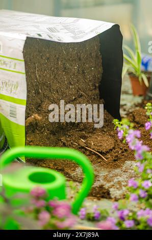 Un mucchio di terreno in una lattina di plastica e di irrigazione verde. Immagine del giardinaggio. Foto di alta qualità Foto Stock