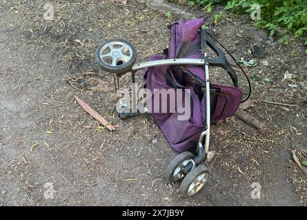 carrello da giardino con due noci in giardino all'inizio dell'autunno Foto Stock