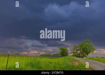 Unwetter am Triebenberg bei Dresden Ein starkes Gewitter zog am Nachmittag über Dresden hinweg. Dresda Sachsen Deutschland *** temporale sul Triebenberg vicino a Dresda Un forte temporale passò sopra Dresda nel pomeriggio Dresda Sassonia Germania Foto Stock