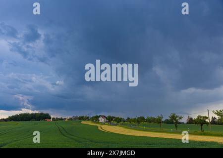 Unwetter am Triebenberg bei Dresden Ein starkes Gewitter zog am Nachmittag über Dresden hinweg. Dresda Sachsen Deutschland *** temporale sul Triebenberg vicino a Dresda Un forte temporale passò sopra Dresda nel pomeriggio Dresda Sassonia Germania Foto Stock