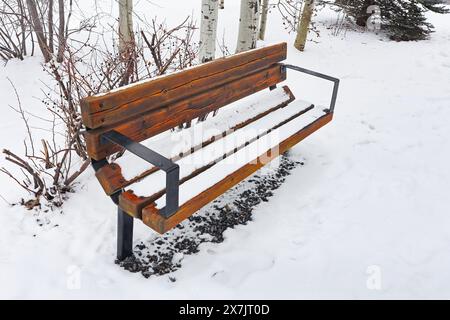 Una panchina solitaria sotto la neve in un parco Foto Stock