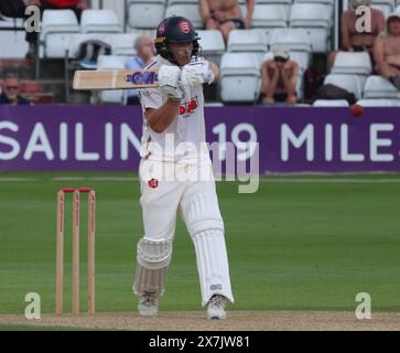 Essex's Tom Westley in azione durante il VITALITY COUNTY CHAMPIONSHIP - DIVISION ONE Day One of 4 match tra Essex CCC e Warwickshire CCC al Foto Stock