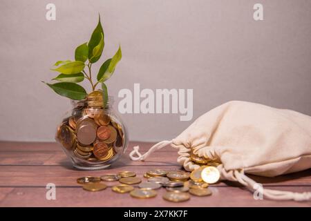 pianta che cresce con soldi di moneta nel sacco di monete, risparmiando denaro Foto Stock