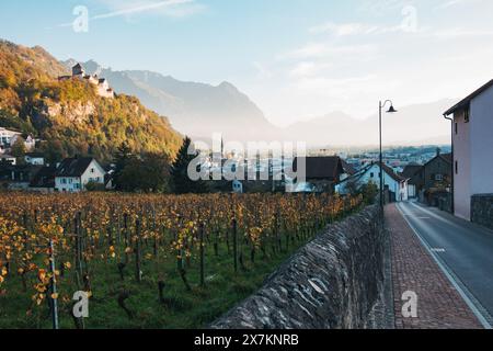 Il vigneto è circondato da un fogliame autunnale, un muro di pietra e una strada che conduce a un villaggio collinare e al castello di Vaduz nel Liechtenstein. Foto Stock