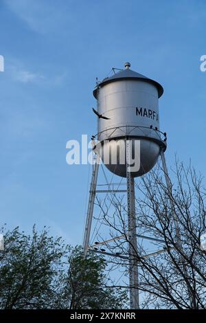 Torre d'acqua di Marfa con uccello alla luce del tardo pomeriggio - Marfa Texas, aprile 2024 Foto Stock
