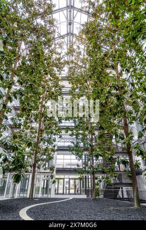 Moderno edificio per uffici con alto tetto in vetro e grandi alberi verdi all'interno, Boeblingen, Germania Foto Stock