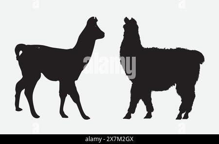 La maestosa silhouette Alpaca cattura la grazia e la bellezza in Shadow Illustrazione Vettoriale