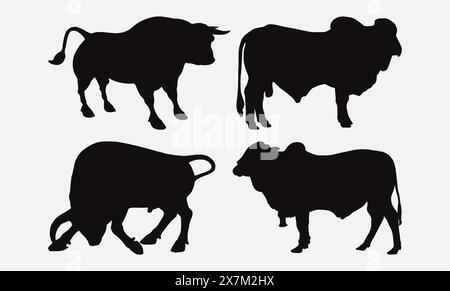 Cattle bue Bulls silhouette Vector set in varie pose per le illustrazioni Fattoria di bestiame e Ranch Illustrazione Vettoriale
