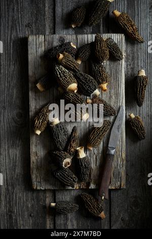 Moreli neri su sfondo grigio in legno Foto Stock