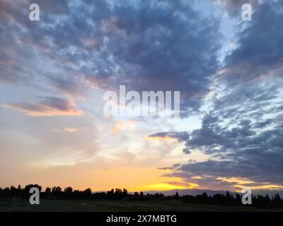 Un tramonto mozzafiato che colora il cielo in sfumature di rosa e arancione, con alberi sagomati sullo sfondo e soffici nuvole che si estendono fino al Foto Stock