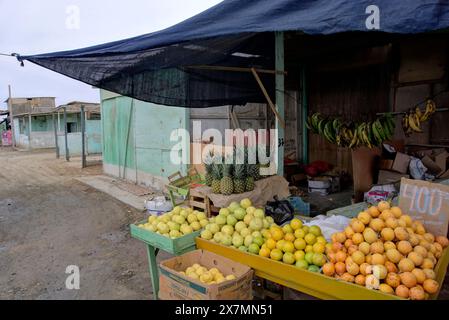 Chimbote, Perù - 18 aprile 2024: Vari frutti in vendita nel mercato pubblico Mercado dos de Mayo (mercato del 2 maggio) Foto Stock