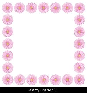 Cornice di fiori di Gerbera rosa isolata su sfondo bianco Foto Stock