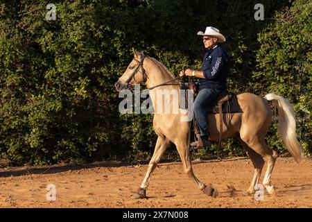 Calpestio Foto Stock