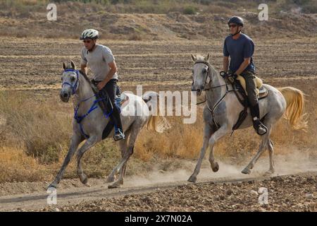 Passeggiate a cavallo Foto Stock