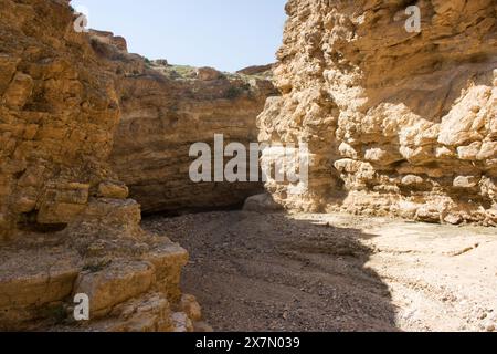 Paesaggio del deserto della Giudea letto del fiume secco (wadi), Israele Foto Stock