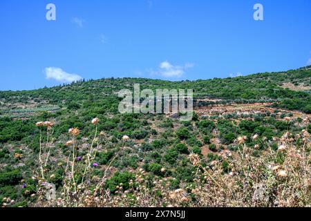 Alta Galilea, paesaggio israeliano villaggio di Sallama sullo sfondo fotografato nella riserva naturale del torrente Tzalmon, alta Galilea, Israel Sallama è un B Foto Stock