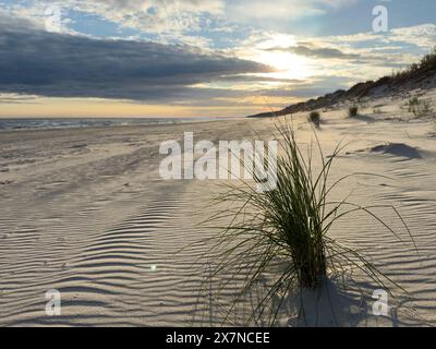Dune di sabbia e erba sulla spiaggia, sulla costa polacca del Mar Baltico Foto Stock