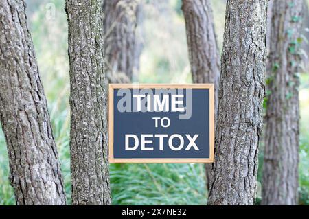 Primo piano di una lavagna con il testo Detox tempo scritto su di esso, posto tra Trees.Detox concetto. Foto Stock
