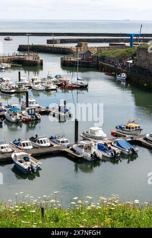 Seaham, Contea di Durham, Regno Unito. Barche in acqua a Seaham Harbour Marina. Foto Stock