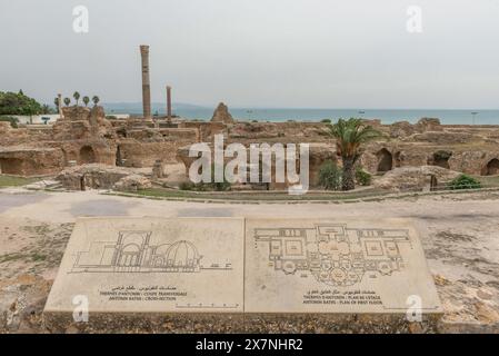 Le rovine archeologiche di Thermes d'Antonin, le terme di Antonino, il più grande complesso termale romano costruito in Africa, parte delle rovine del Fenice Foto Stock