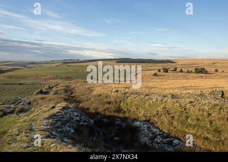 Fattoria abbandonata vicino a Lead Mines Clough vicino a White Coppice, West Pennine Moors, Lancashire, Inghilterra Foto Stock