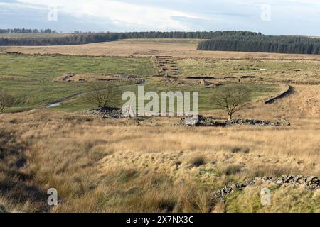 Fattoria abbandonata vicino a Lead Mines Clough vicino a White Coppice, West Pennine Moors, Lancashire, Inghilterra Foto Stock