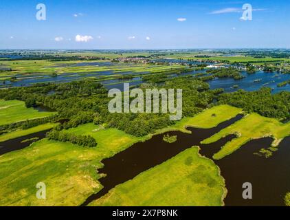 WOERDENSE VERLAAT - area naturalistica e ricreativa Nieuwkoopse Plassen vicino a Woerdense Verlaat, Noorden, Nieuwkoop e Meije. L'area è molto apprezzata dagli amanti del divertimento e della natura. Foto: ANP / Hollandse Hoogte / John van der Tol netherlands Out - belgium Out Foto Stock