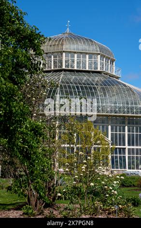 I Giardini Botanici Nazionali (Glasnevin) in Dublin , Ireland Foto Stock