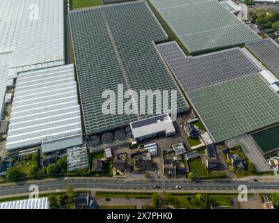 Ampio Squaresd di serre situato nei Paesi Bassi, vista sul drone aereo. Serre verdi vicino a Monster, l'Aia. Foto Stock